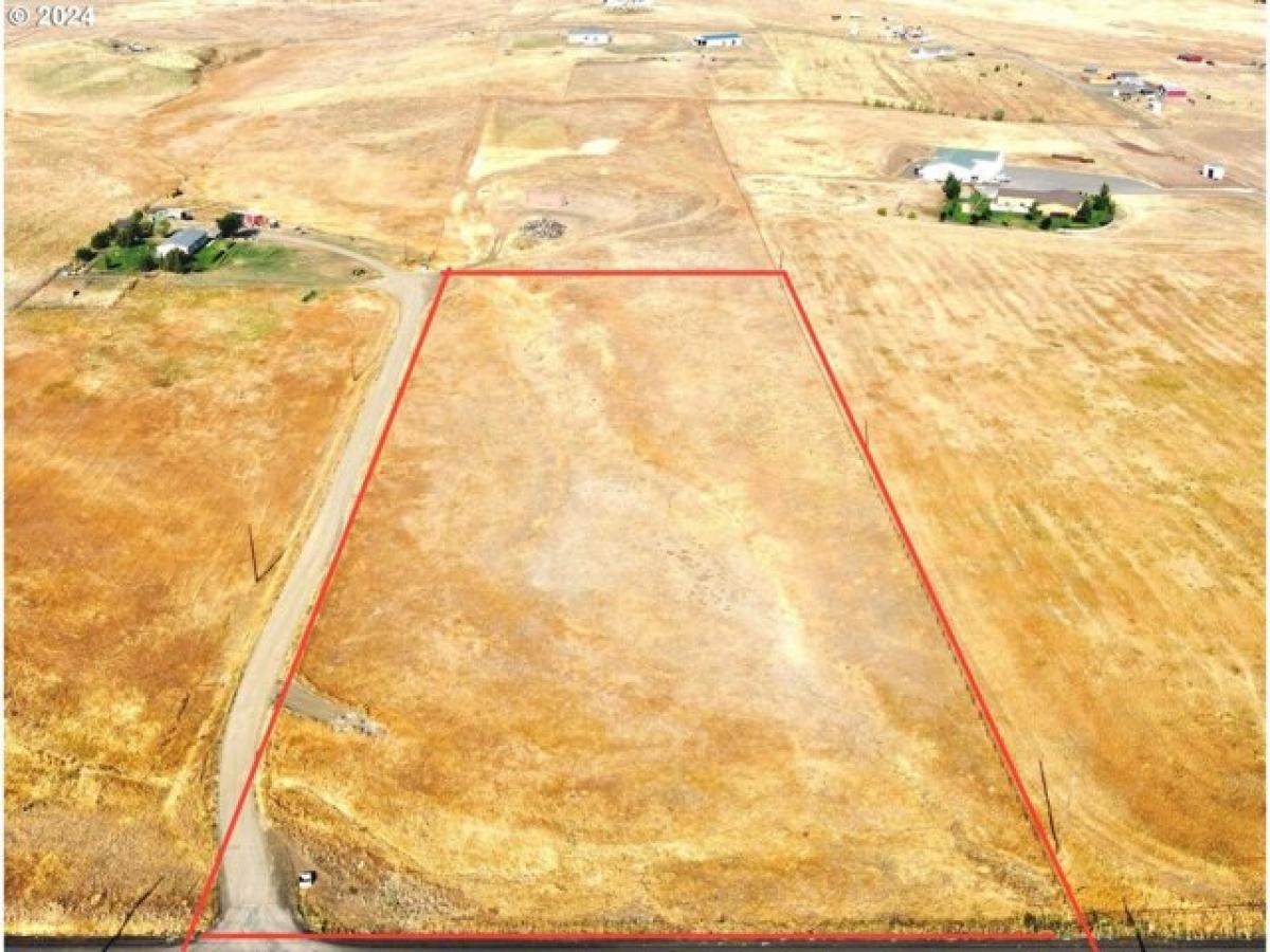 Picture of Residential Land For Sale in Goldendale, Washington, United States