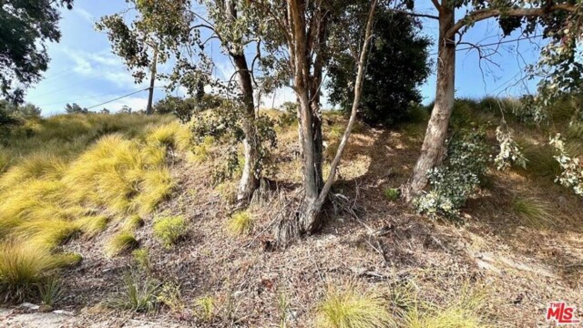 Picture of Residential Land For Sale in Topanga, California, United States