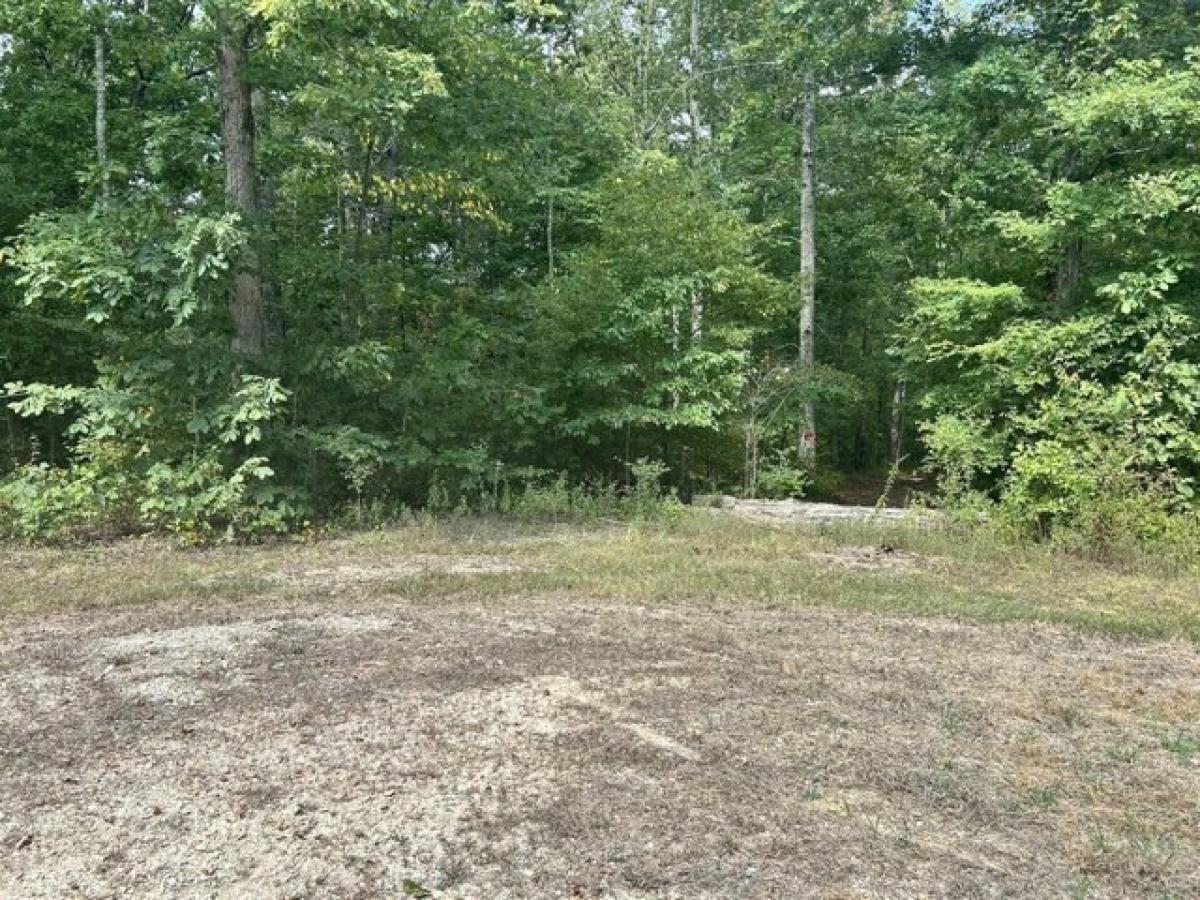Picture of Residential Land For Sale in Hurricane Mills, Tennessee, United States