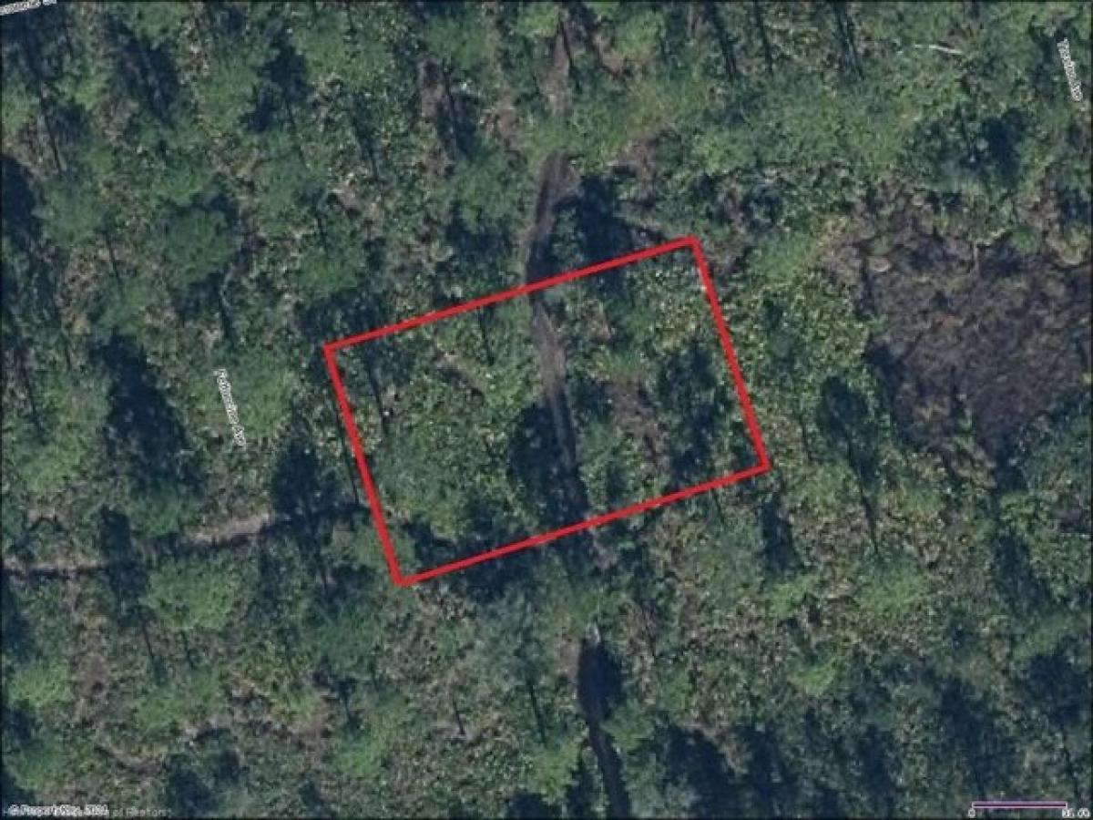 Picture of Residential Land For Rent in Sebring, Florida, United States