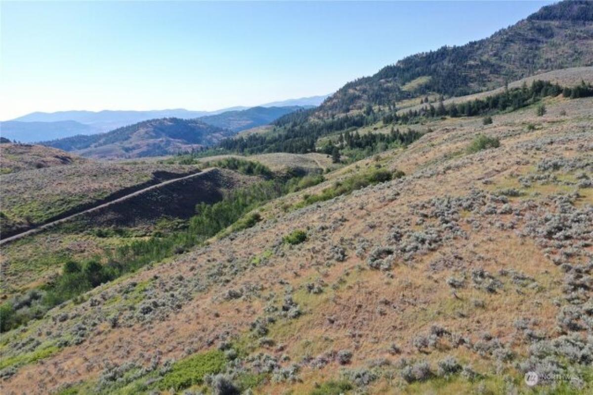 Picture of Residential Land For Sale in Oroville, Washington, United States