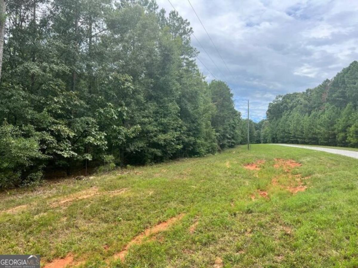 Picture of Residential Land For Sale in Elberton, Georgia, United States