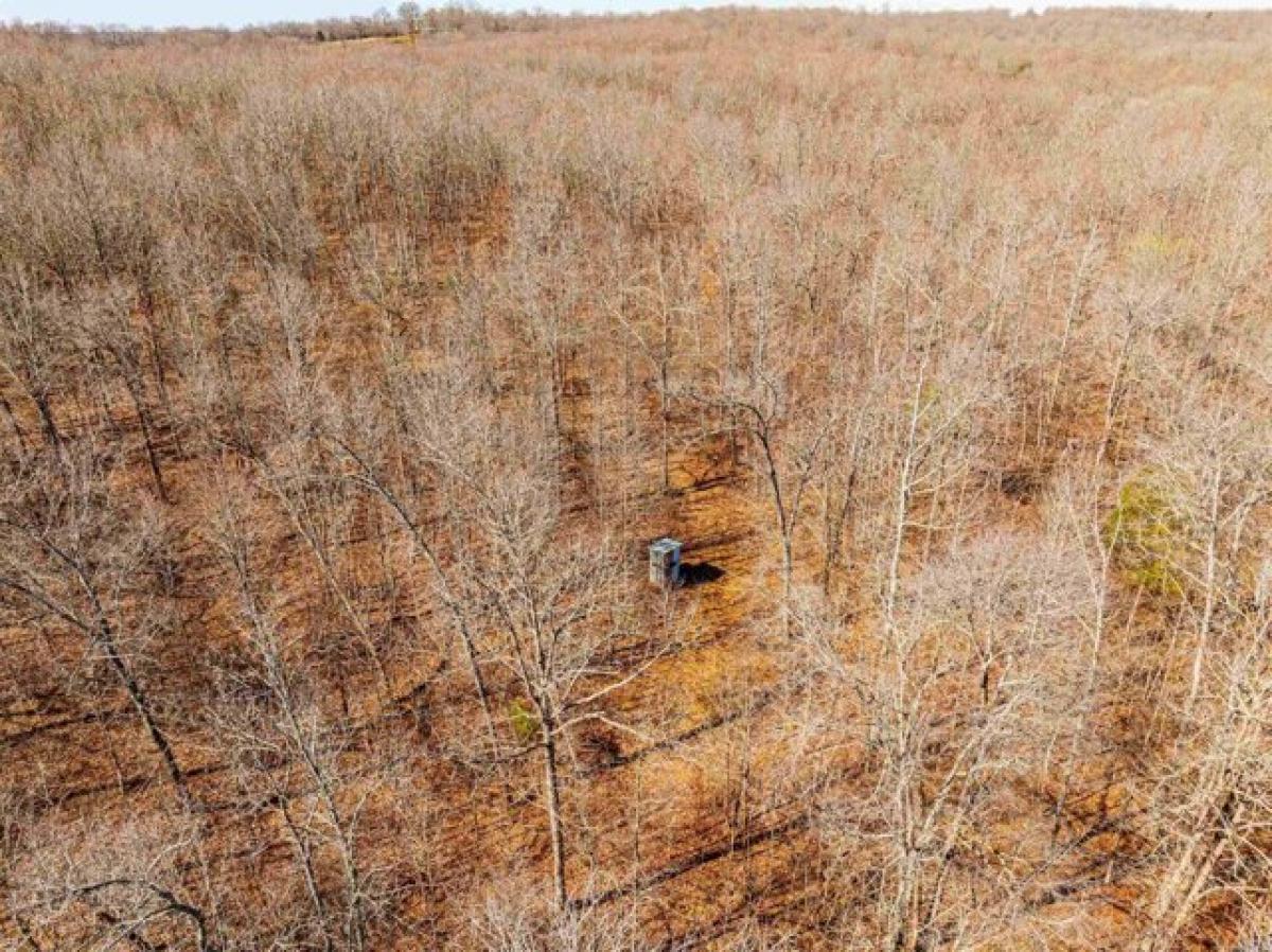 Picture of Residential Land For Sale in Smithville, Arkansas, United States