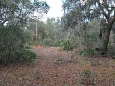 Residential Land For Sale in Fort Mccoy, Florida