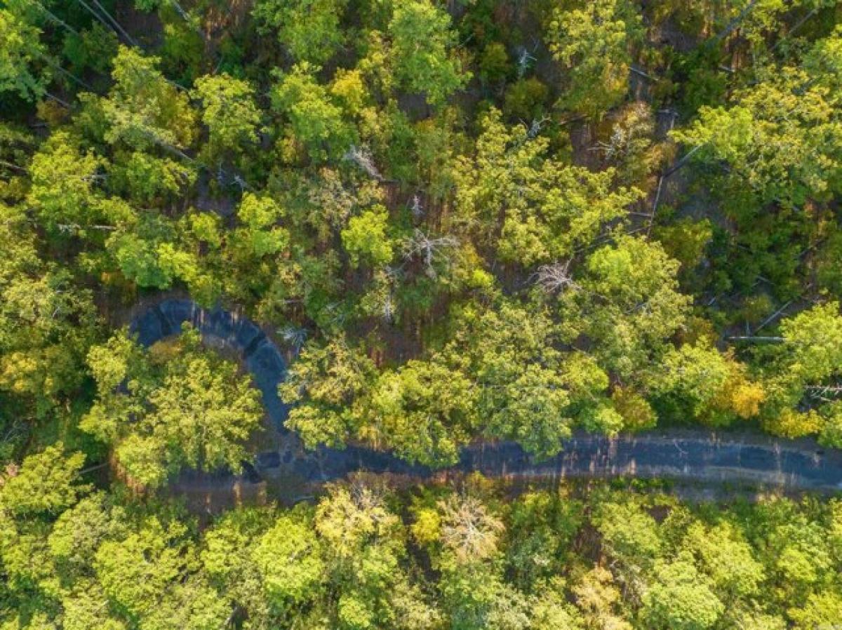 Picture of Residential Land For Rent in Hot Springs Village, Arkansas, United States