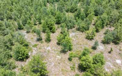 Residential Land For Sale in Madison, Florida