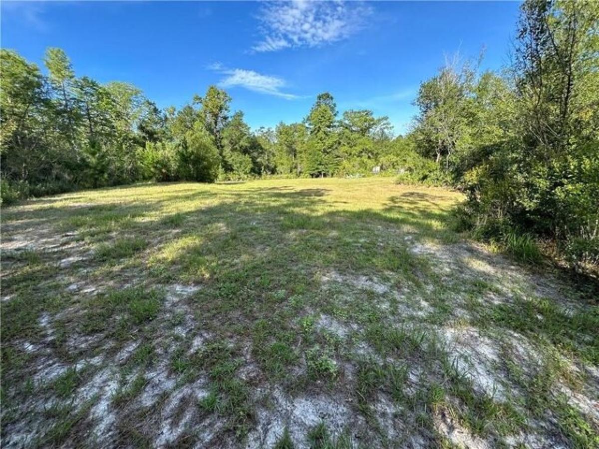 Picture of Residential Land For Sale in Folkston, Georgia, United States