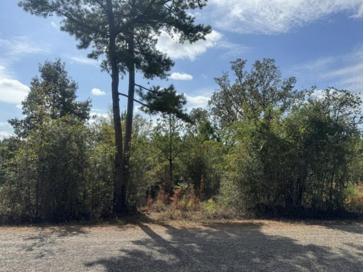 Picture of Residential Land For Rent in Prentiss, Mississippi, United States