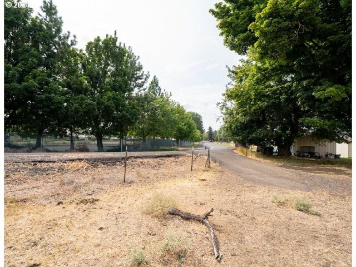 Picture of Residential Land For Sale in Grass Valley, Oregon, United States