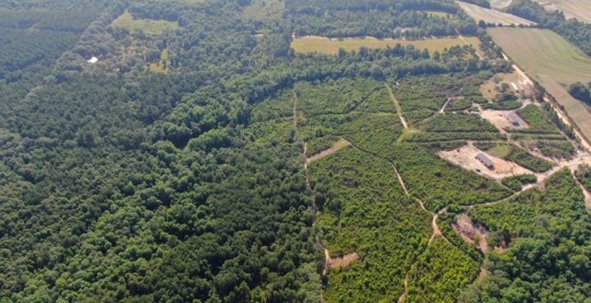 Picture of Residential Land For Sale in Coffee Springs, Alabama, United States