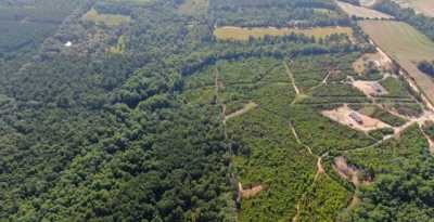 Residential Land For Sale in Coffee Springs, Alabama