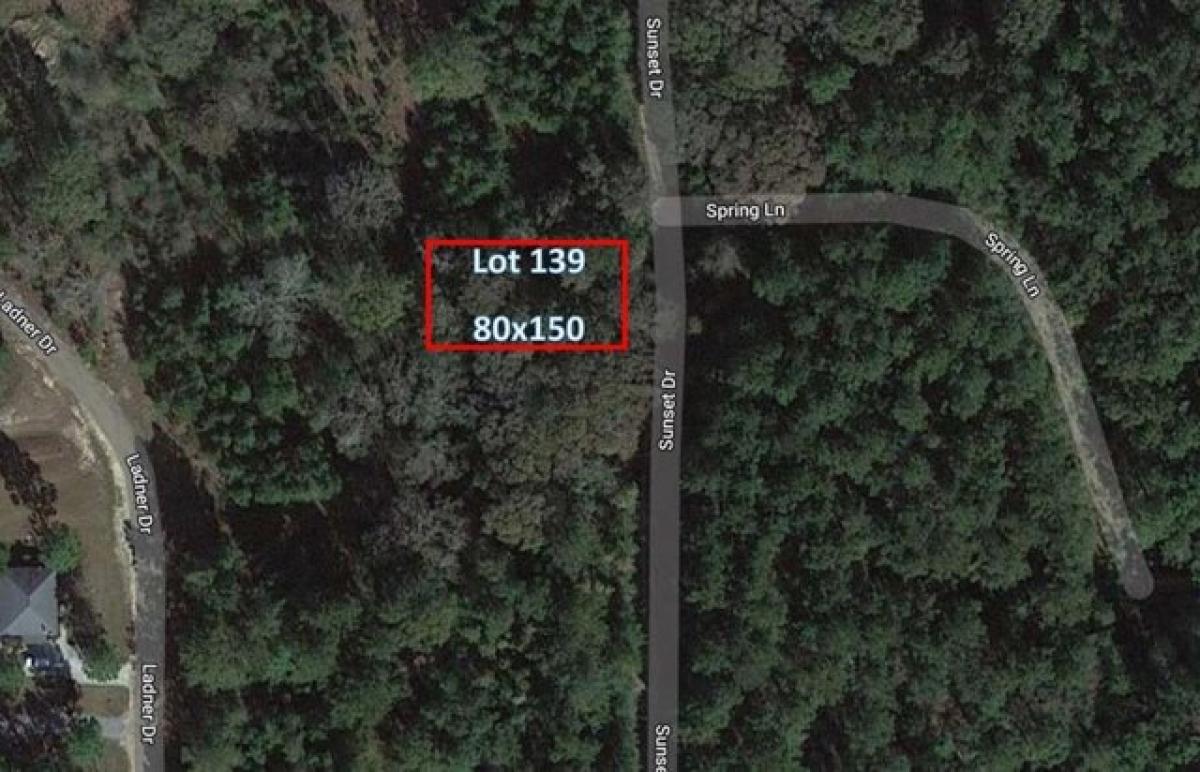 Picture of Residential Land For Rent in Lumberton, Mississippi, United States