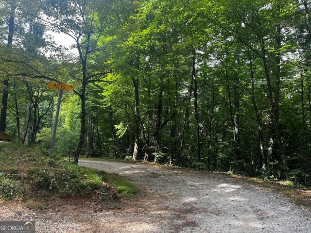 Picture of Residential Land For Sale in Rabun Gap, Georgia, United States