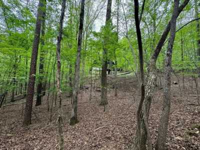 Residential Land For Rent in Ellijay, Georgia