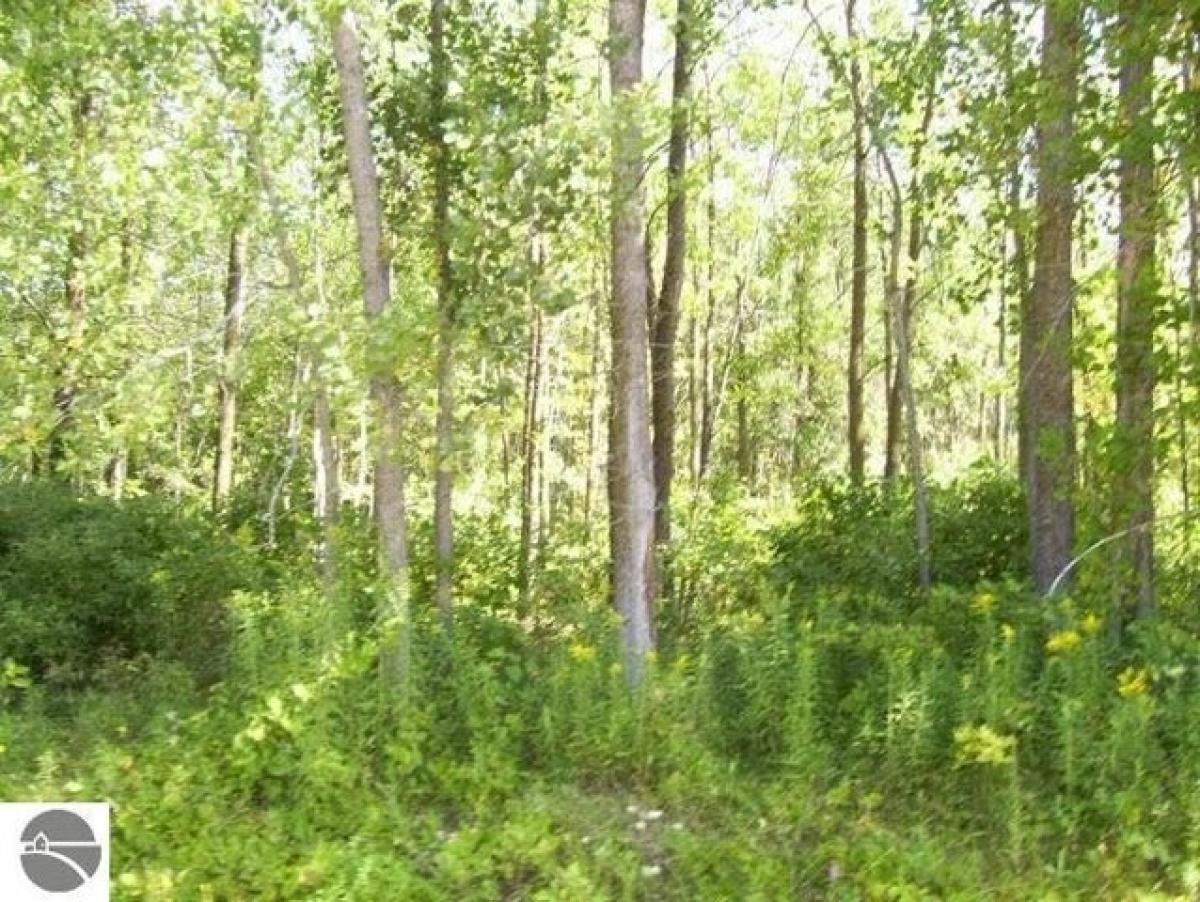Picture of Residential Land For Rent in Au Gres, Michigan, United States