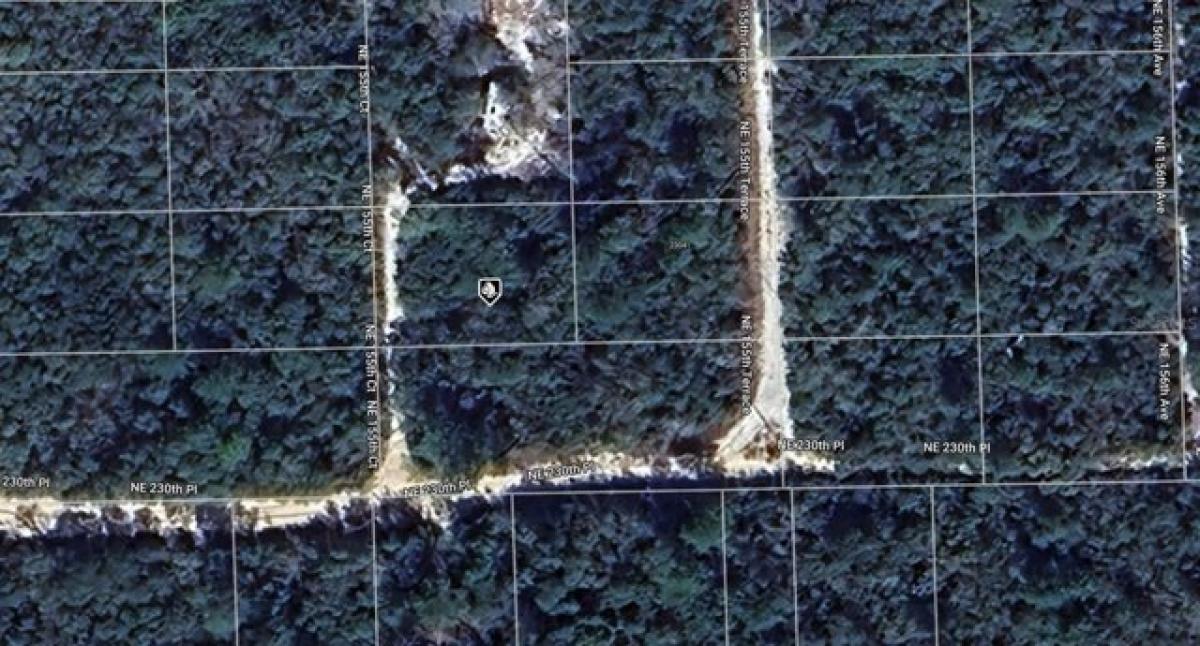 Picture of Residential Land For Rent in Fort Mccoy, Florida, United States