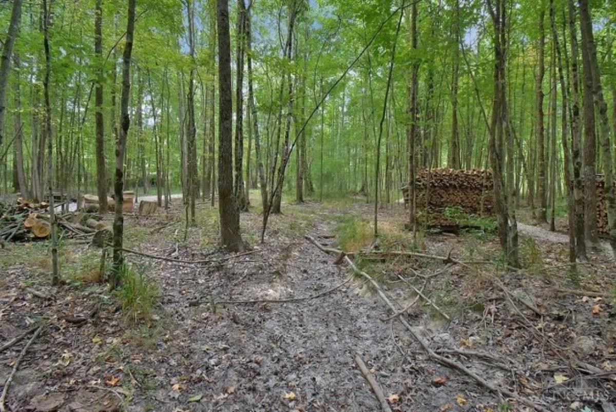 Picture of Residential Land For Sale in Bethel, Ohio, United States