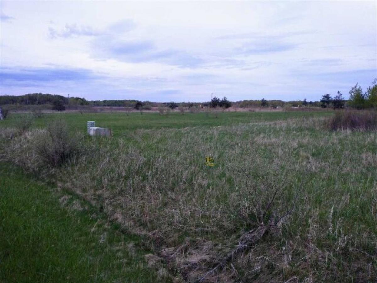 Picture of Residential Land For Rent in Gladwin, Michigan, United States