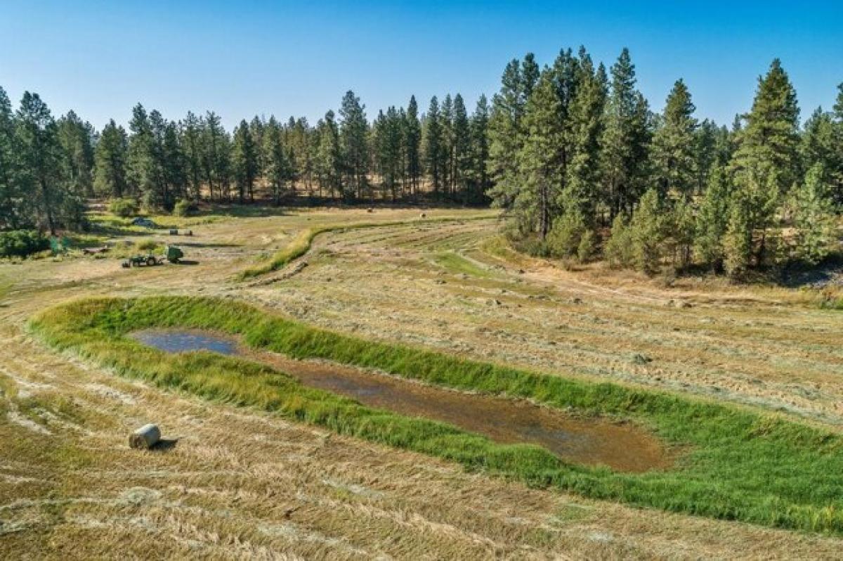 Picture of Residential Land For Sale in Cheney, Washington, United States