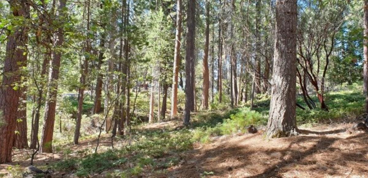 Picture of Residential Land For Sale in Arnold, California, United States