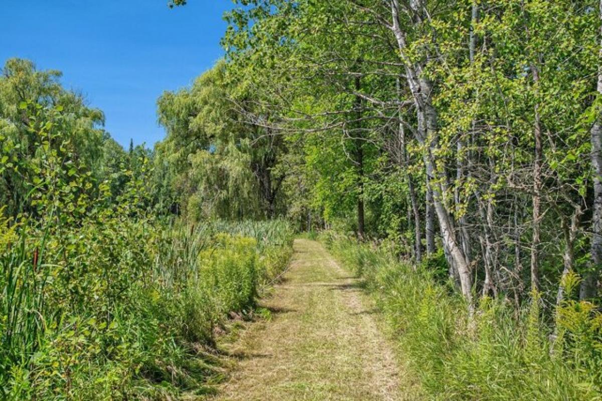 Picture of Residential Land For Sale in Atlanta, Michigan, United States