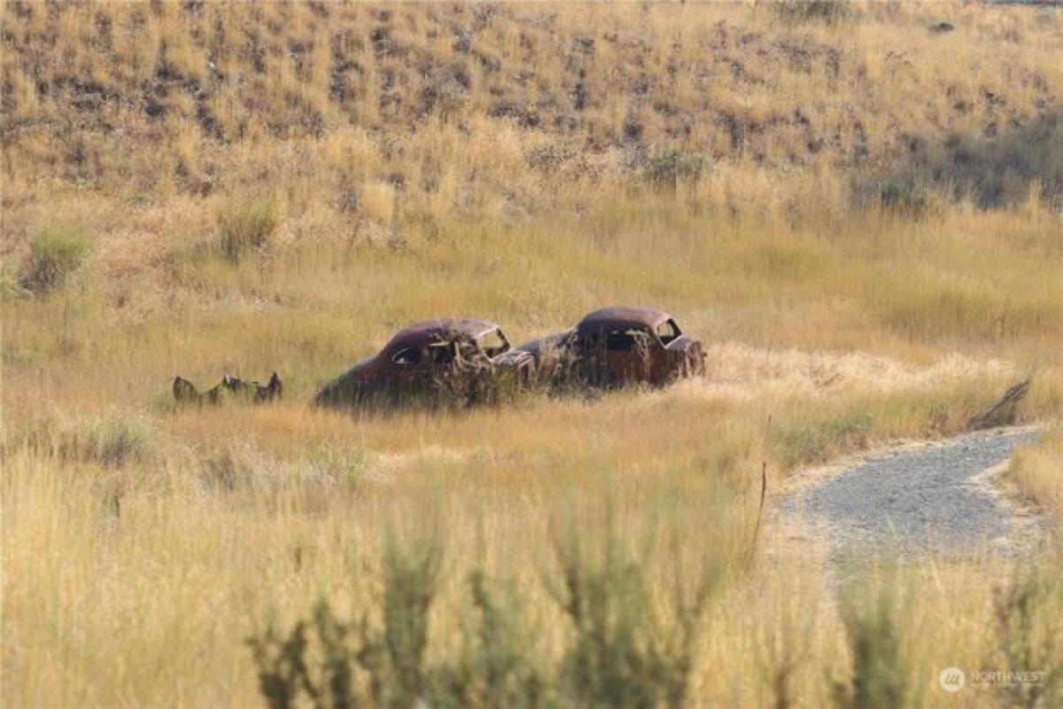 Picture of Residential Land For Sale in Twisp, Washington, United States