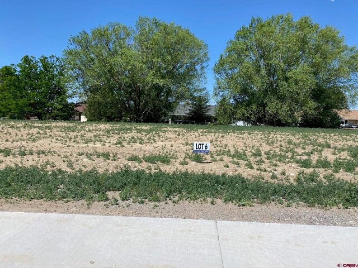 Picture of Residential Land For Sale in Montrose, Colorado, United States