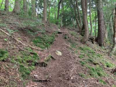 Residential Land For Sale in Stratford, New York