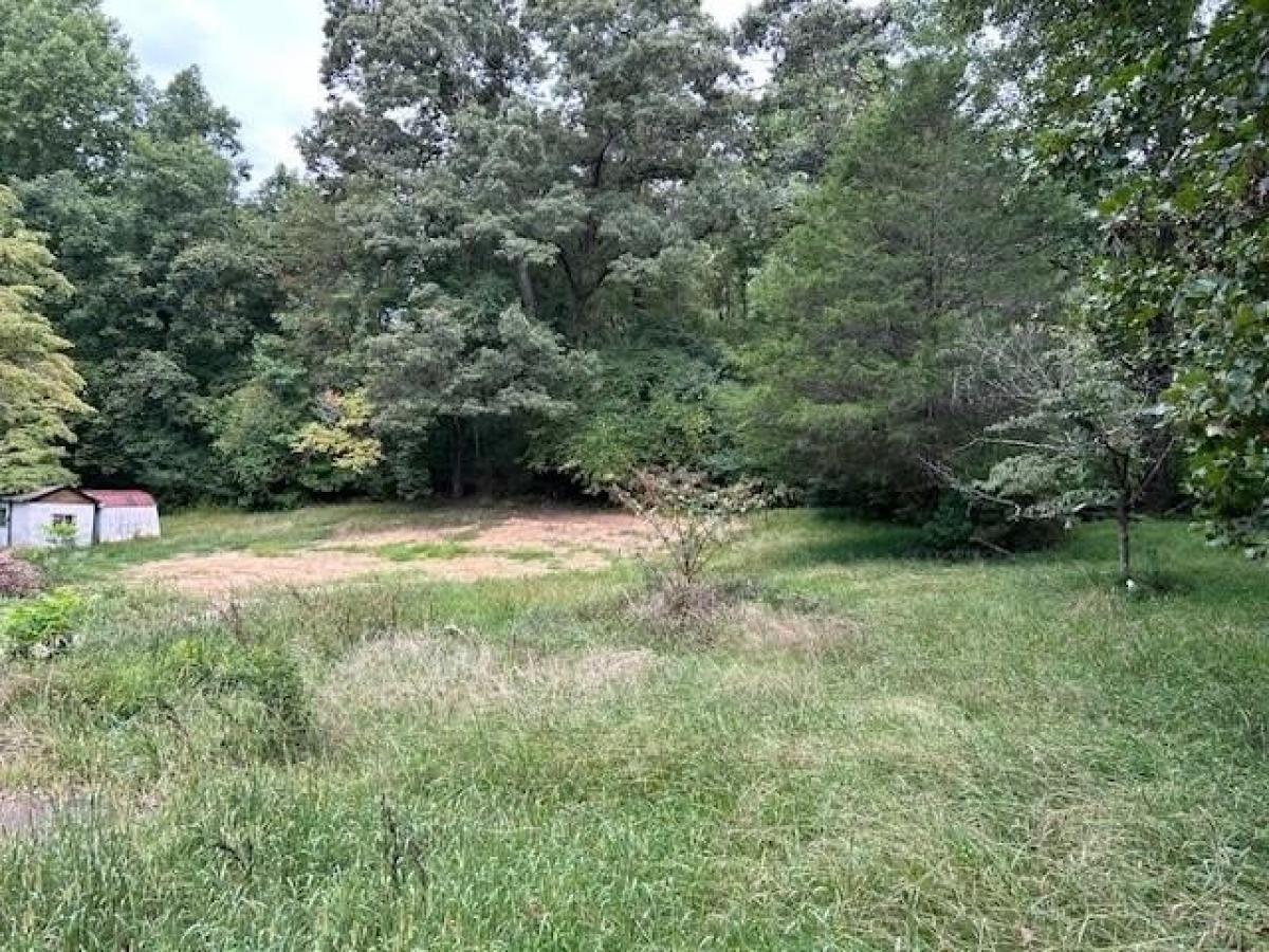 Picture of Residential Land For Sale in Dahlonega, Georgia, United States