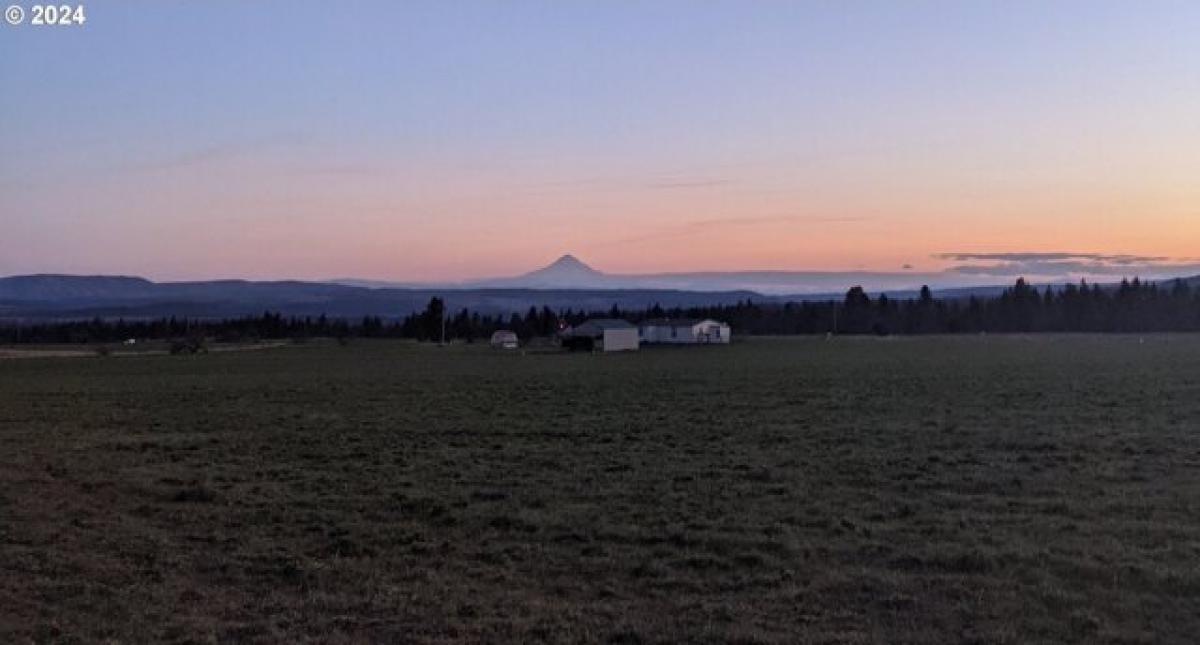 Picture of Residential Land For Sale in Goldendale, Washington, United States
