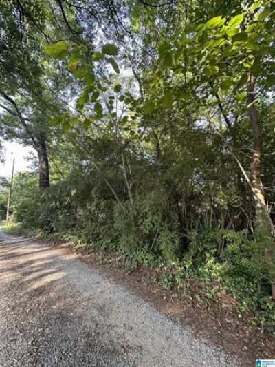 Residential Land For Sale in Pell City, Alabama