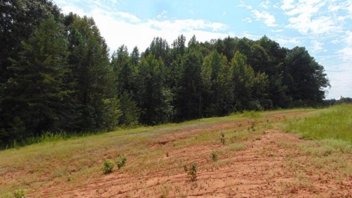 Picture of Residential Land For Sale in South Boston, Virginia, United States