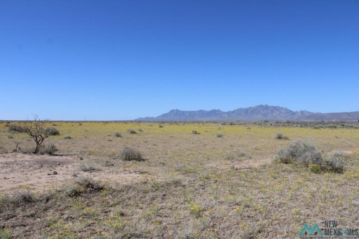 Picture of Residential Land For Rent in Deming, New Mexico, United States