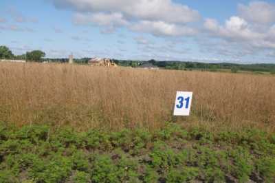 Residential Land For Sale in