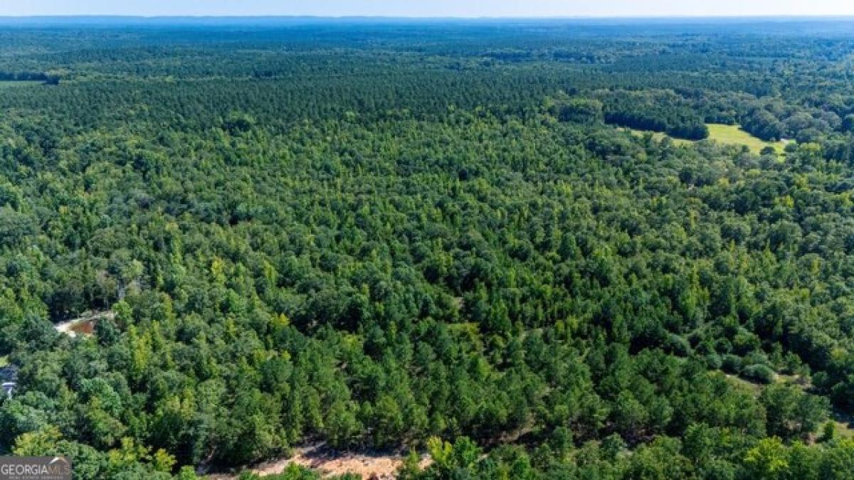 Picture of Residential Land For Sale in Greenville, Georgia, United States