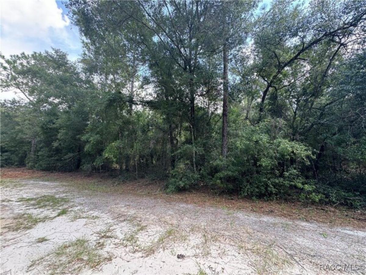 Picture of Residential Land For Rent in Crystal River, Florida, United States