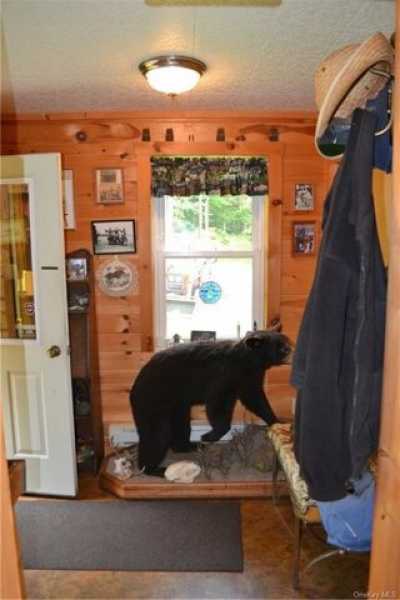 Home For Sale in Roscoe, New York