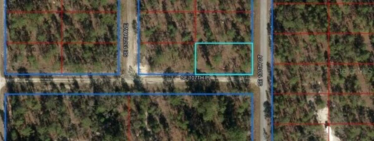 Picture of Residential Land For Rent in Dunnellon, Florida, United States