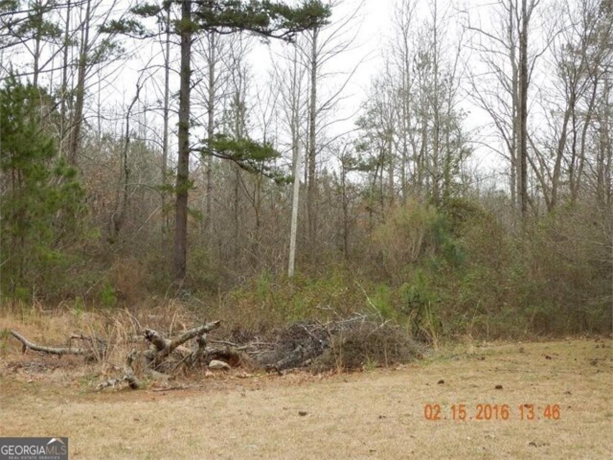 Picture of Residential Land For Sale in Temple, Georgia, United States