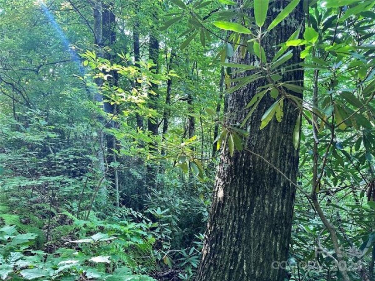 Picture of Residential Land For Sale in Fairview, North Carolina, United States