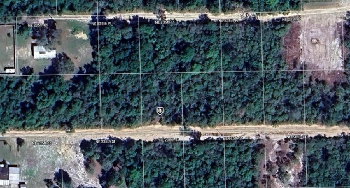 Picture of Residential Land For Rent in Fort Mccoy, Florida, United States