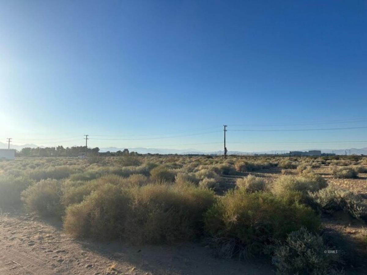 Picture of Residential Land For Rent in Ridgecrest, California, United States