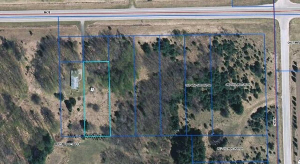 Picture of Residential Land For Rent in Hillman, Michigan, United States