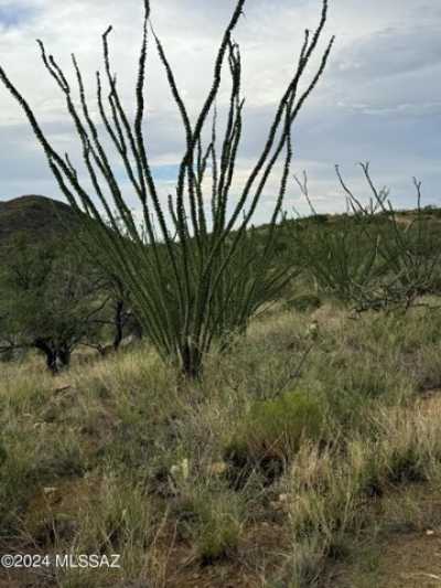 Residential Land For Rent in Tucson, Arizona