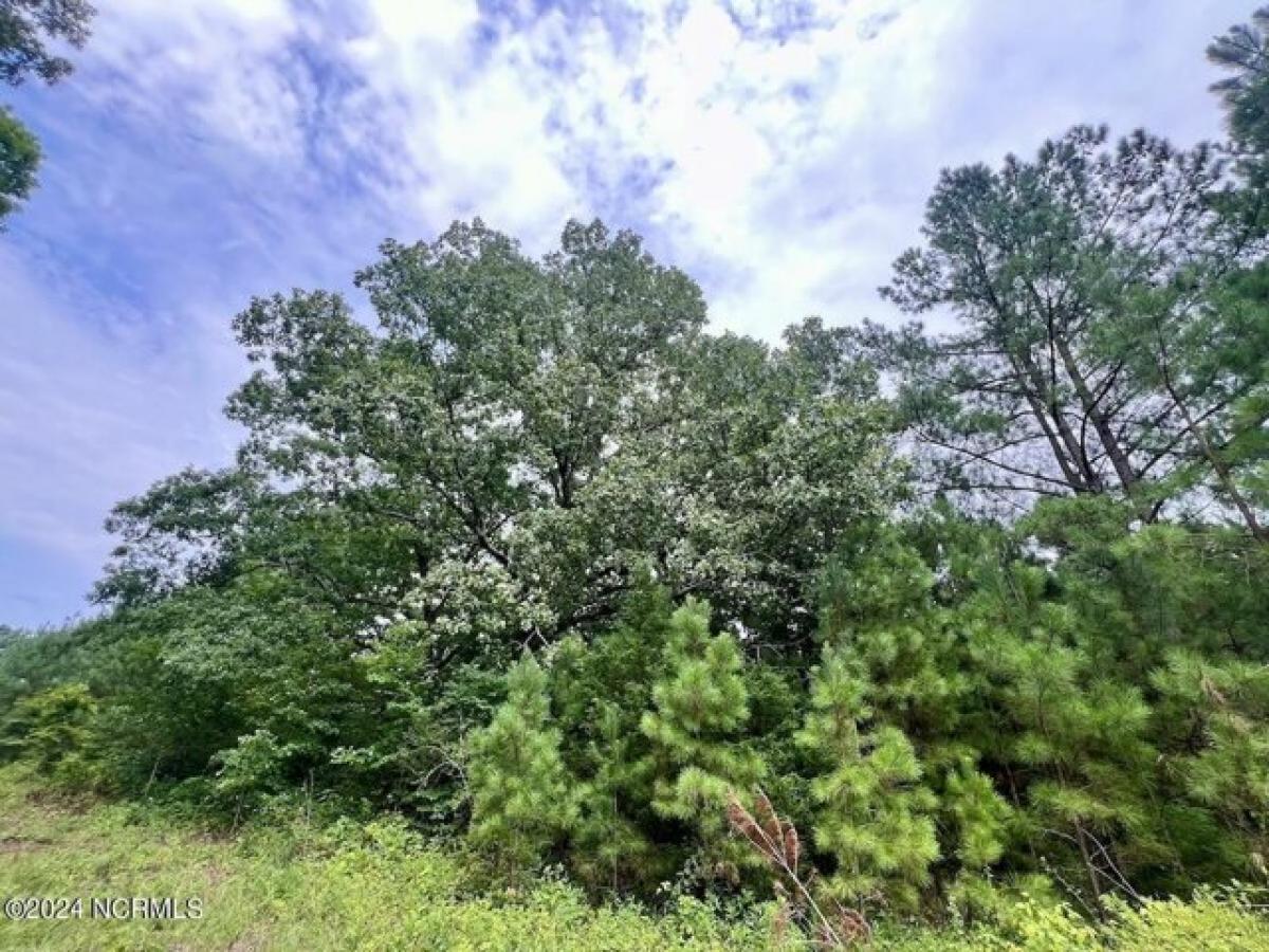 Picture of Residential Land For Rent in Warrenton, North Carolina, United States