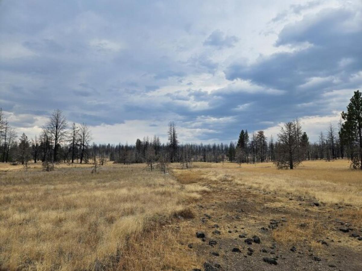 Picture of Residential Land For Sale in Bly, Oregon, United States