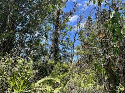 Residential Land For Sale in Mountain View, Hawaii