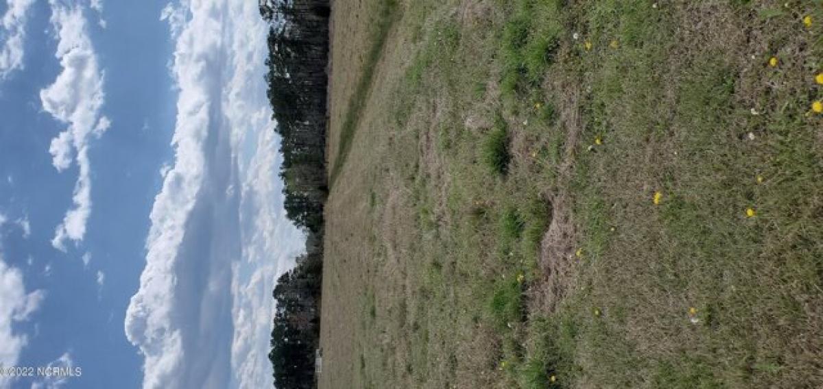 Picture of Residential Land For Rent in Belhaven, North Carolina, United States