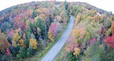 Residential Land For Sale in Davis, West Virginia