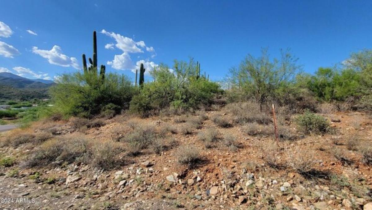 Picture of Residential Land For Sale in Black Canyon City, Arizona, United States
